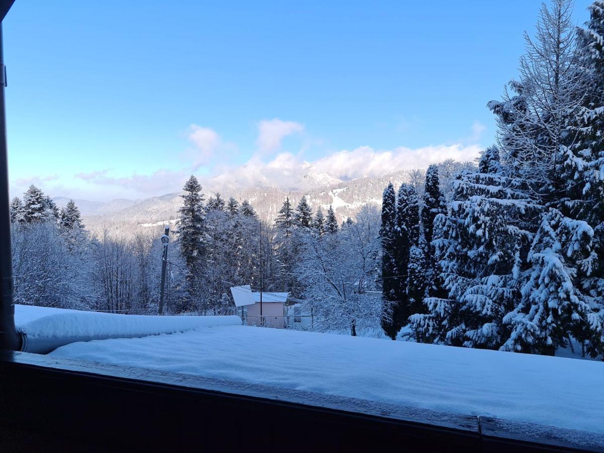 Hotel Bucegi Portile Regatului Pârâul Rece Esterno foto